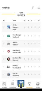 Tier 1 Hockey Federation screenshot 1