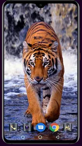 Royal Bengol Tiger Wallpaper screenshot 12