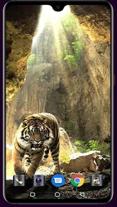 Royal Bengol Tiger Wallpaper screenshot 7