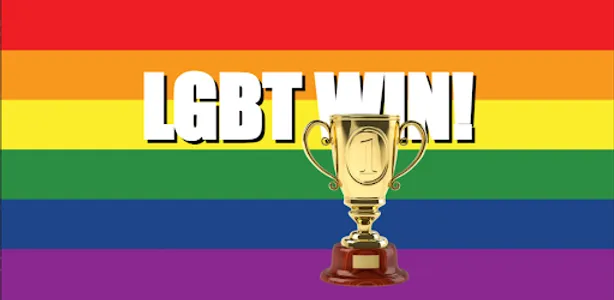 LGBT VS STRAIGHT TikGame screenshot 2