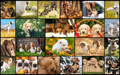 Dog Jigsaw Puzzle Family Games screenshot 0