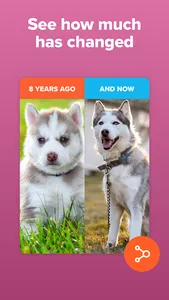 Timehop - Memories Then & Now screenshot 2