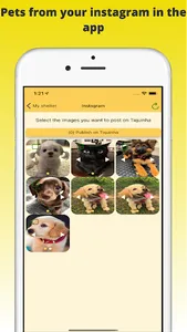 Tiquinha screenshot 5