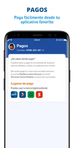Pandero screenshot 3