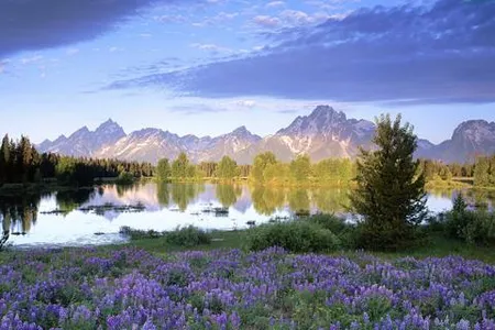 Landscape Jigsaw puzzles 4In 1 screenshot 0