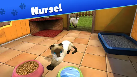 Pet World - My animal shelter screenshot 10