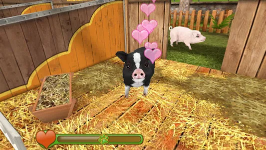 Pet World - My animal shelter screenshot 14