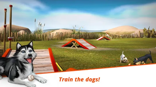 Dog Hotel – Play with dogs screenshot 12