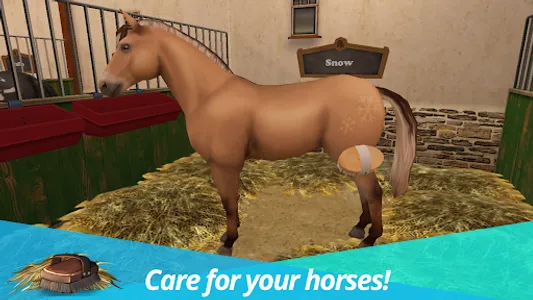 Horse World Premium screenshot 25