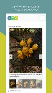 TMA Fungi screenshot 3