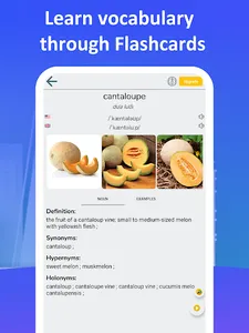 Learn English Vocabulary screenshot 12
