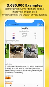 Picture English Dictionary screenshot 5