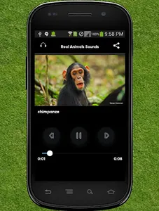 Real Animals Sound screenshot 4