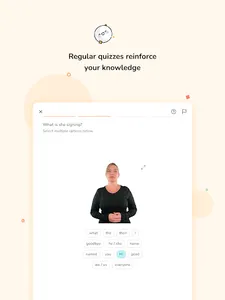 Bright BSL - Sign Language screenshot 13