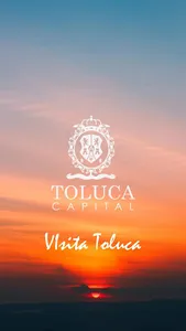 Toluca Capital Digital screenshot 0