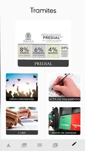 Toluca Capital Digital screenshot 4
