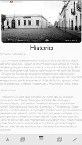 Toluca Capital Digital screenshot 5