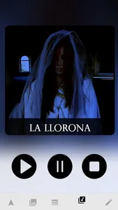 Toluca Capital Digital screenshot 6