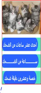 القط والفار screenshot 0