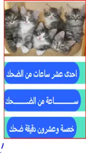 القط والفار screenshot 2