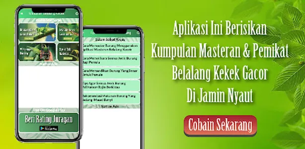 Suara Belalang Kecek Lovebird screenshot 0