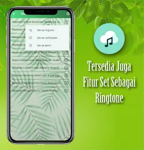 Suara Belalang Kecek Lovebird screenshot 3