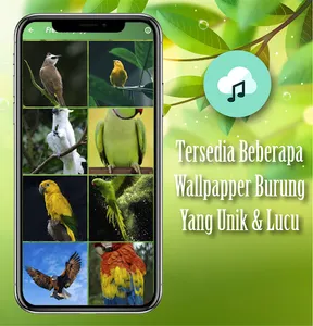 Suara Pikat Kutilang Emas screenshot 4
