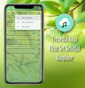 Kicau Cililin Isian Gacor screenshot 1