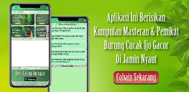 Suara Cucak Ijo Gacor Ngentrok screenshot 0