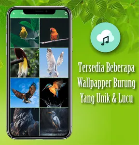 Suara Cucak Ijo Gacor Ngentrok screenshot 2