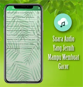 Suara Cucak Ijo Gacor Ngentrok screenshot 3
