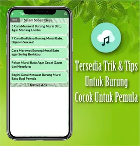 Masteran Burung Murai Batu screenshot 2