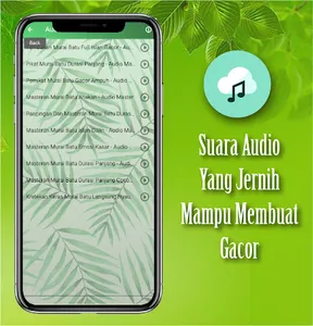 Masteran Burung Murai Batu screenshot 3