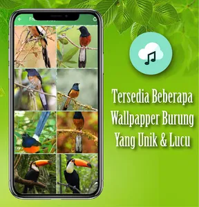 Masteran Burung Murai Batu screenshot 4