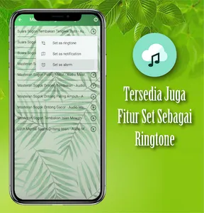 Suara Pikat Sogok Ontong screenshot 5