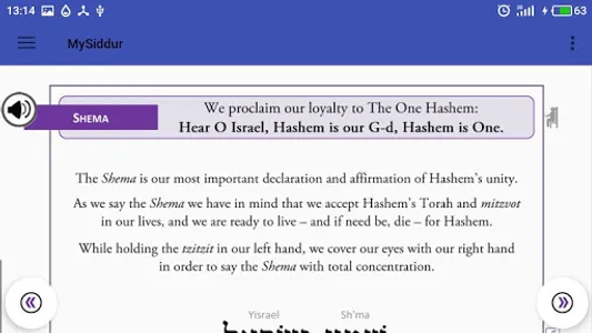 My Siddur: Transliterated Sidd screenshot 5