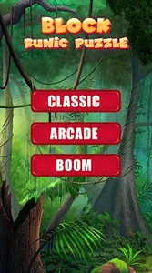 Block Runic Puzzle screenshot 0
