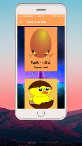 Topik Level Test screenshot 1