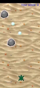 Tortuga game online screenshot 4
