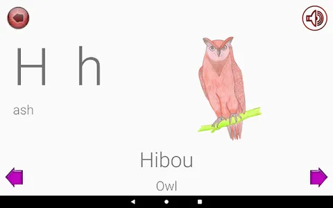 Learn French Alphabet screenshot 6