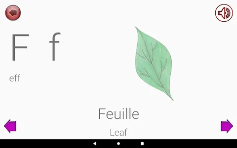 Learn French Alphabet screenshot 7