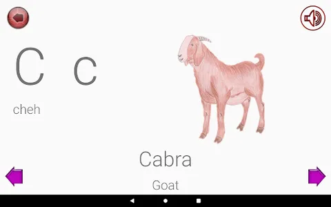 Learn Spanish Alphabet screenshot 9
