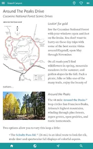 Grand Canyon’s Best: USA Guide screenshot 11