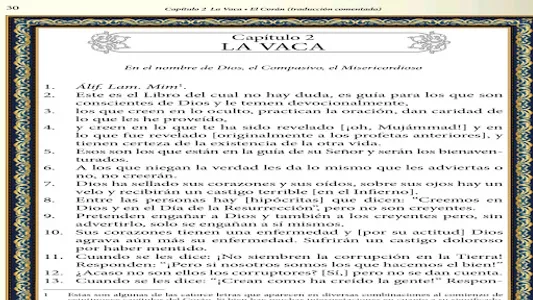traducion del coran screenshot 12
