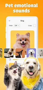 Dog & Cat Translator Prank screenshot 3