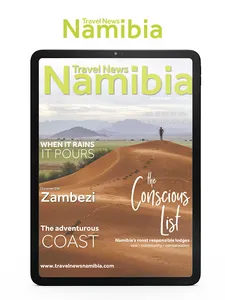 Travel News Namibia screenshot 1