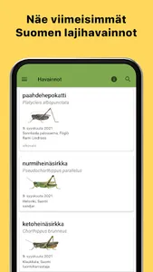 Sirittäjät screenshot 4