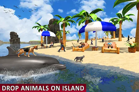 Dolphin Transport Beach game screenshot 4