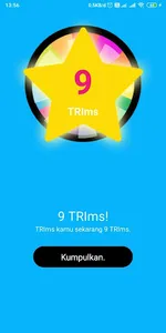 TRIms screenshot 7