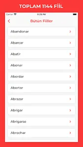 İspanyolca Fiiller screenshot 2